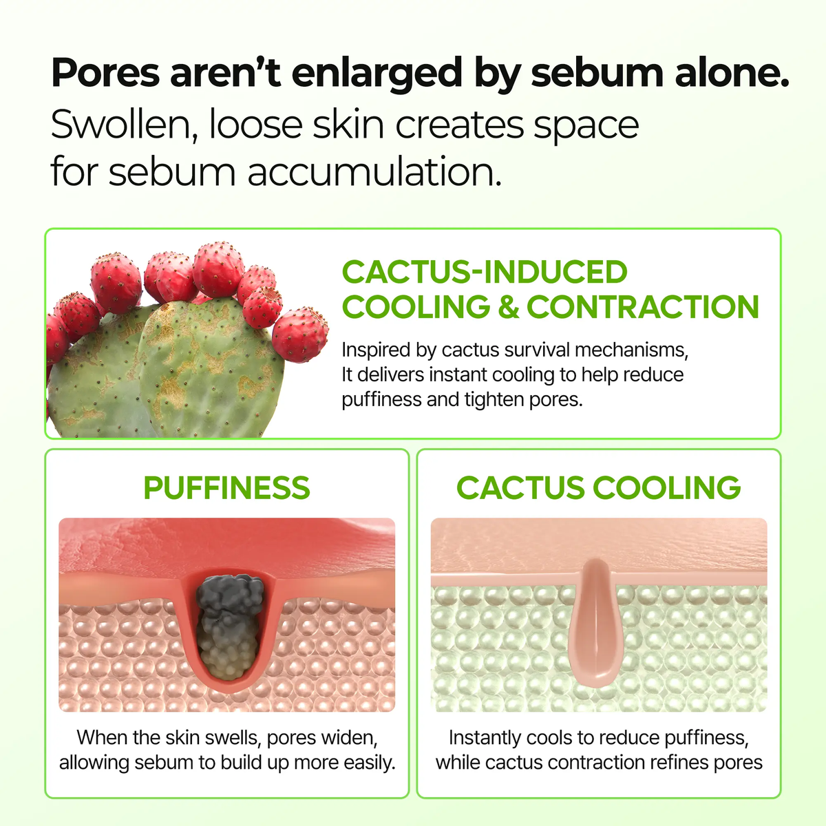 [Dr.Melaxin Official] CACTOX PORE RELIEF MULTI BALM with Cactus Cooling Reduce Puffiness & Pore Tightening for Visible Pore Care Skin Repair